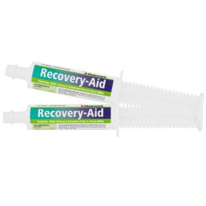 Recovery Paste for Horses