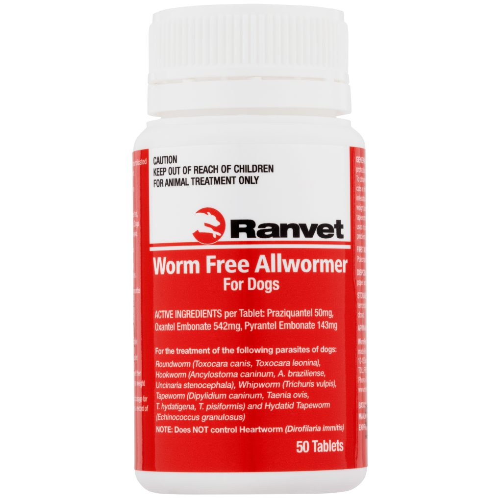 Worm Free Allwormer for Dogs | Ranvet